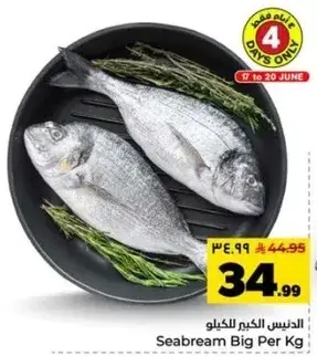 Seabream Big Per Kg