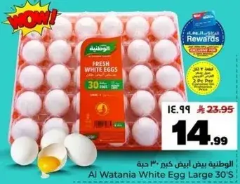 Fresh White Eggs Large 30's