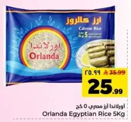 اورلندا ارز مصري 5 كجم