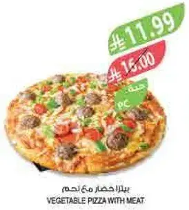 Vegetable pizza with meat