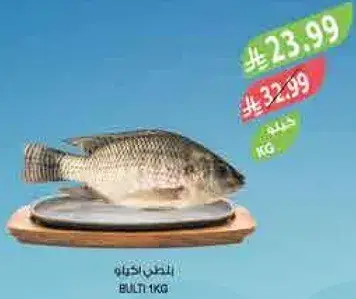 بلطي 1 كيلو