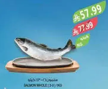 Salmon Whole (2-3 kg)