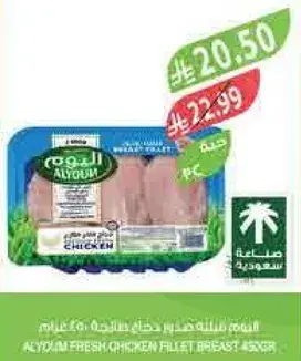 الدجاج فيليه صدور طازجه 450 جرام