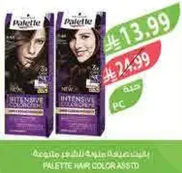 صبغه شعر باليت متنوعه