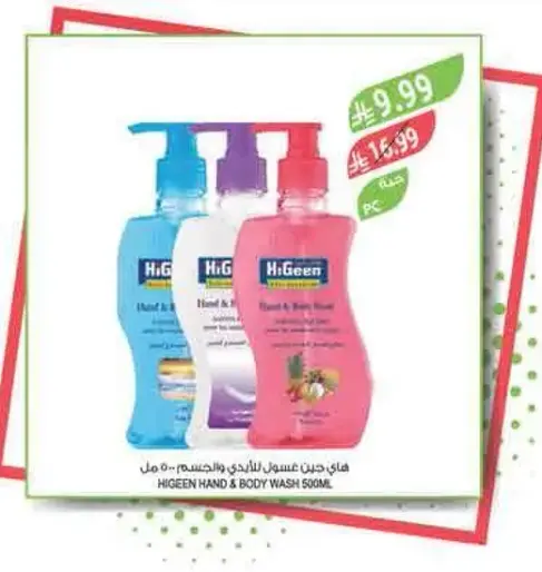 Higeen Hand & Body Wash 500ml