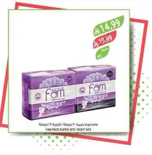 Fam pads super 30's / night 24's