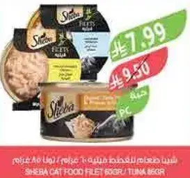 شيبا طعام قطط فيليه 85 جرام / تونه 85 جرام