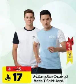 Mens T Shirt Astd