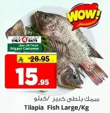 Tilapia Fish Large/Kg