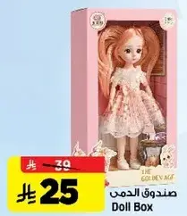 Doll Box