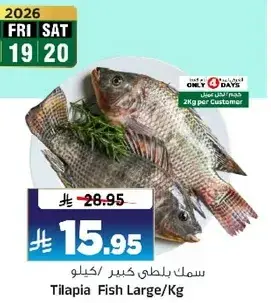 Tilapia Fish Large/Kg
