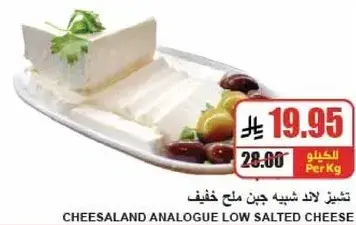 Cheeseland Analogue Low Salted Cheese