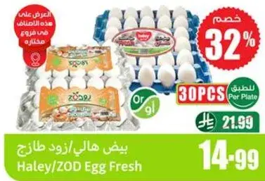 بيض هالي/زود طازج