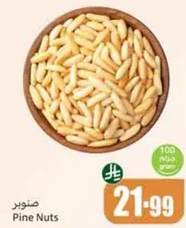 صنوبر