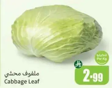 ملفوف محشي