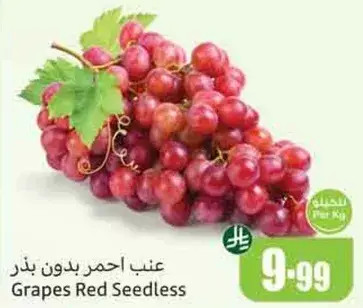عنب احمر بدون بذور