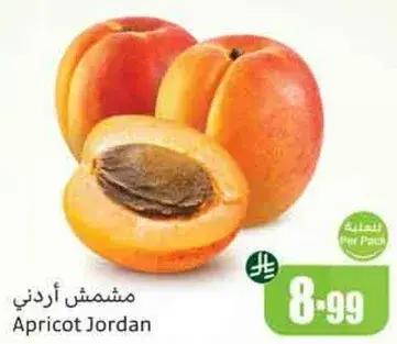 مشمس اردني