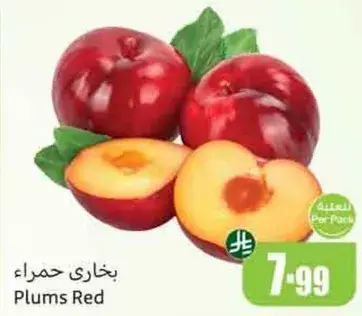بخاري حمراء