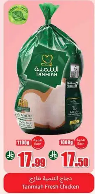 دجاج التنميه طازج