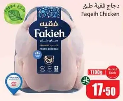 دجاج فقيه