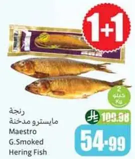 مايسترو مدخنه