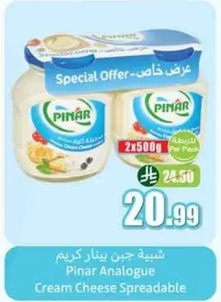 جبن بينار كريم