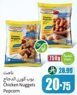 ناجت دجاج امريكانا