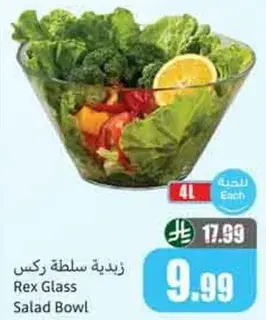Rex Glass Salad Bowl