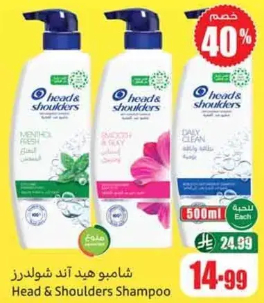شامبو هيد اند شولدرز