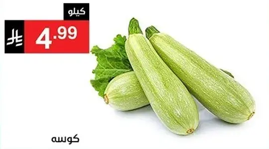 Zucchini, fresh and green.