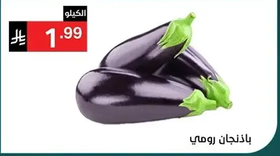 باذنجان رومي، طازج ولامع.