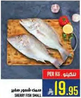 Sherry fish small
