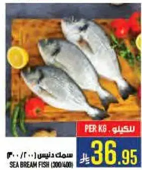 Sea Bream Fish (300/400)