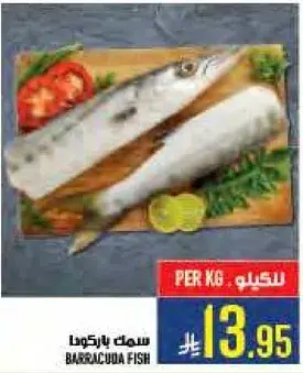 Barracuda Fish