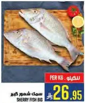 Sherry Fish Big