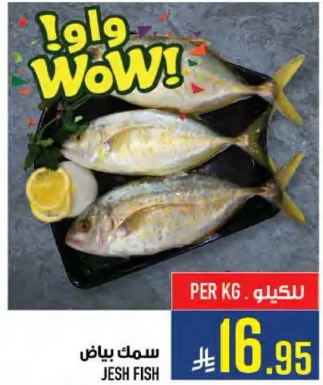 Jesh fish