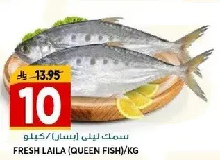سمك ليلي (سمكه الملك)/كيلو