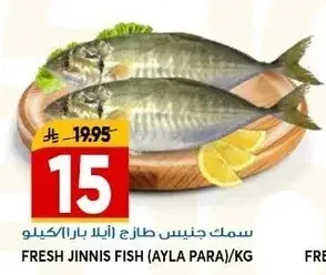 سمك جنيس طازج (اينلا بارا)/كيلو