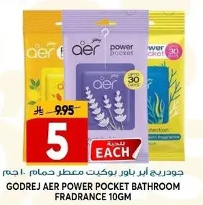 Godrej Aer Power Pocket Bathroom Fragrance 10gm