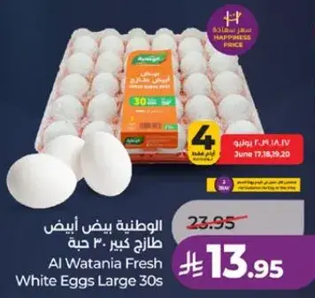 الوطنيه بيض ابيض كبير 30 حبه