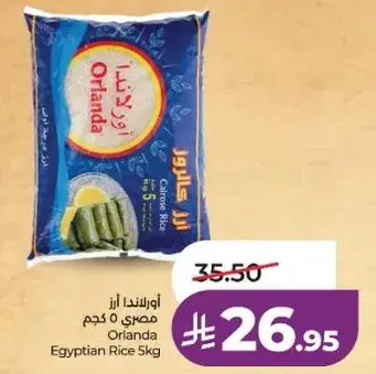 اورلندا ارز مصري 5 كجم