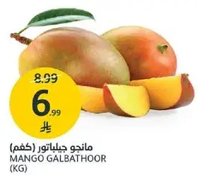 مانجو جيباثور (كجم)