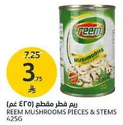 Reem Mushrooms Pieces & Stems 425G