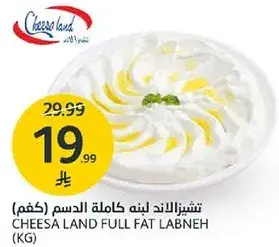 تشيزا لاند لبنه كامله الدسم (كغم)