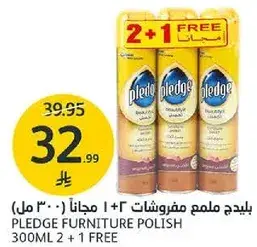 بليدج ملمع مفروشات 300 مل 2 + 1 مجانا