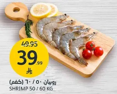 روبيان 50 / 60 (كغم)