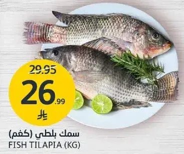 سمك بلطي (كغم)
