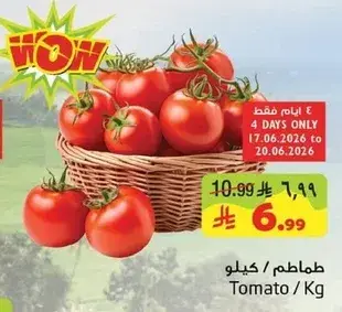 Tomato/Kg
