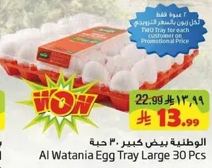Al Wataniya Egg Tray Large 30 Pcs
