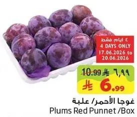 Plums Red Punnet/Box
